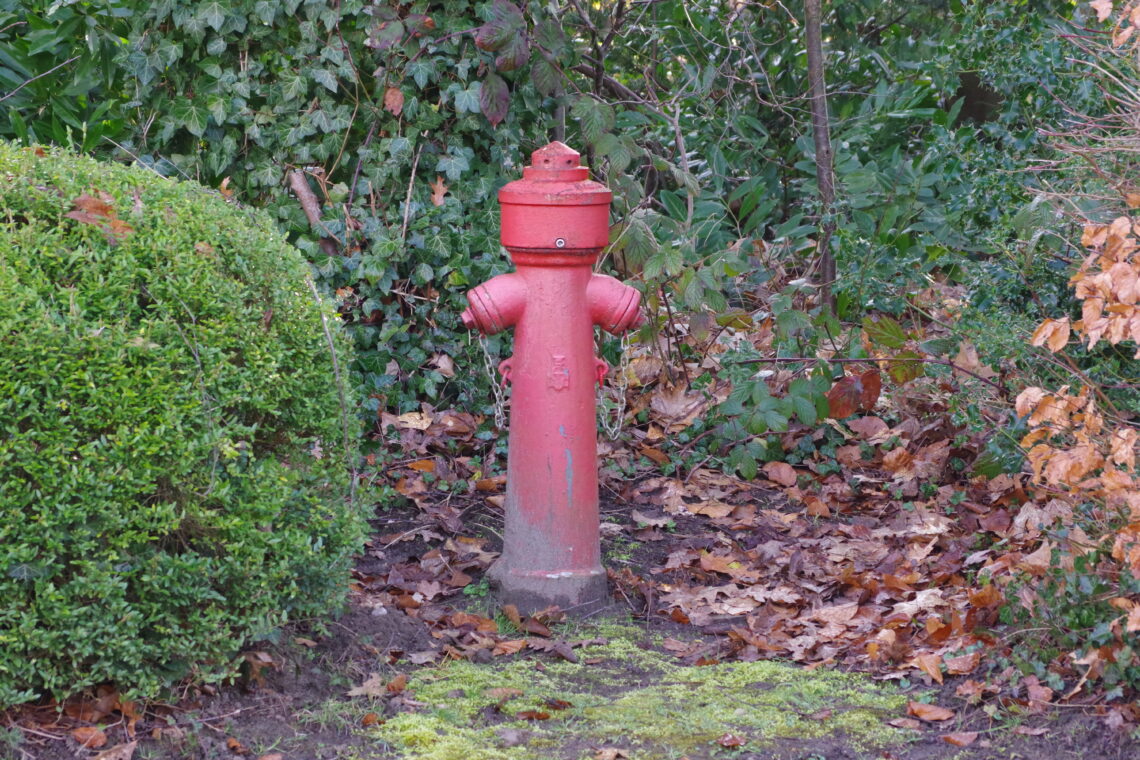 A dirty dull red fire hydrant surrounded by fallen leaves, brambles and with a carefully tended green bush to one side. On the main roadway to the Kreishaus in Osterholz-Scharmbeck.