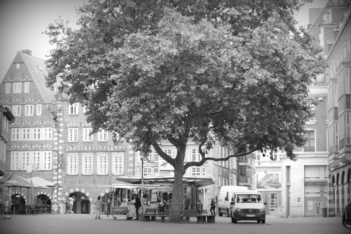 Monochrome photograph of a large tree standing above a market place with small stands and sales areas for a weekday market.